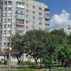 Dombrovs'koho Street, 59Б, Zhytomyr: photo