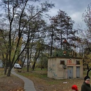 Yunosti Street, 6А, Kyiv: photo