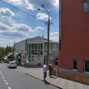 Mykoly Ovodova Street, 50, Vinnytsia: photo