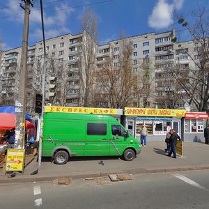 Zodchykh Street, 46, Kyiv: photo