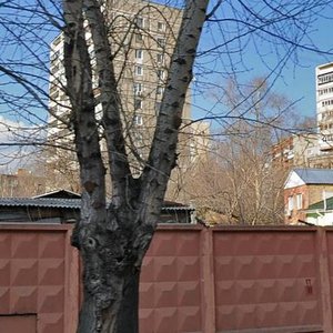 Kirpichnaya Street, 9с4 ، موسكو: صورة