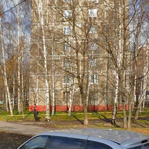 Anadyrsky Drive, 55 ، موسكو: صورة