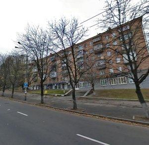 Povitroflotskyi Avenue, 10, Kyiv: photo