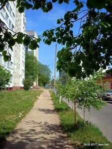 Полоцк, Улица Гагарина, 7: фото