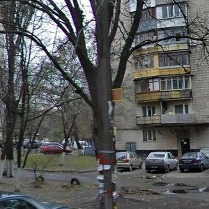 Preobrazhenska Street, 28, Kyiv: photo