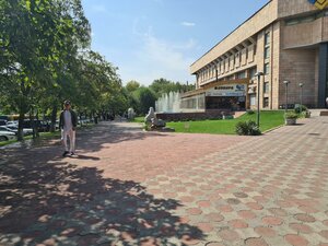 Шымкент, Проспект Тауке хана, 16: фото