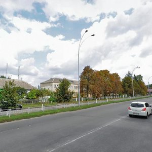 Kyivska vulytsia, 153, Brovary: photo