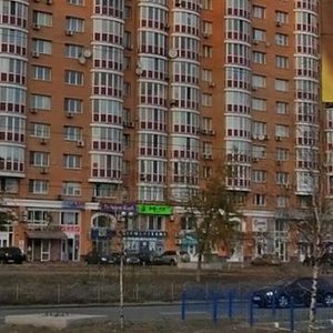 Marshala Tymoshenka Street, 21b4, Kyiv: photo