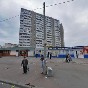 Onore De Balzaka Street, 83А, Kyiv: photo