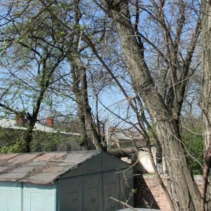 Leninogorskaya ulitsa, 9 ، روستوف نا دونو: صورة