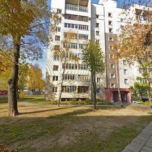 Минск, Фабричная улица, 10: фото