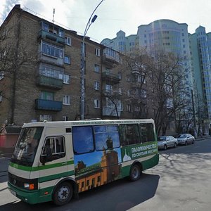 Vasylkivska Street, 29/22, Kyiv: photo