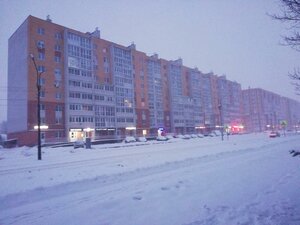 Lomonosova Street, 43, Veliky Novgorod: photo