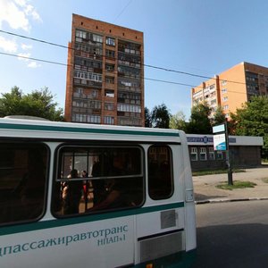 Нижний Новгород, Улица Культуры, 113: фото