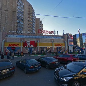Narodnogo Opolcheniya Street, 46к1, Moscow: photo