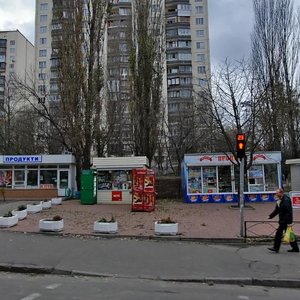 Stadionna Street, 16/6, Kyiv: photo