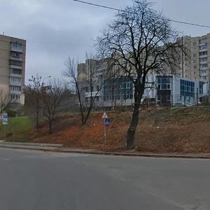 Kudriashova Street, 9, Kyiv: photo
