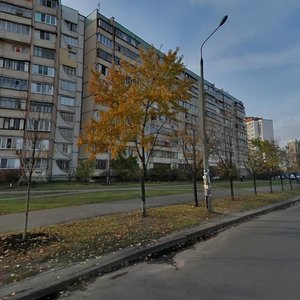 Киев, Улица Ревуцкого, 22: фото
