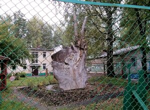 Detskiy proyezd, 17 ، نوفوسيبيرسك: صورة