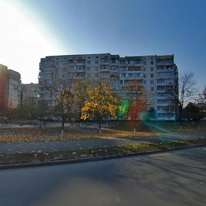 Romana Shukhevycha Avenue, 14А, Kyiv: photo