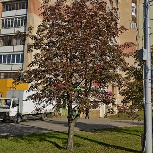 Maksima Gareckaga Street, 27, Minsk: photo