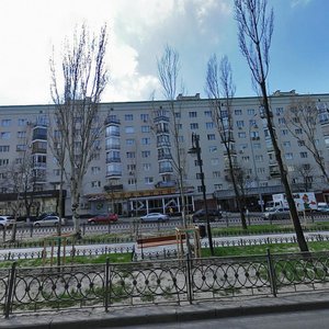 Lesi Ukrainky Boulevard, 12, Kyiv: photo