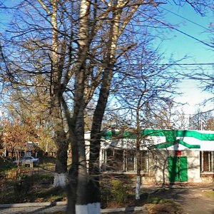Kirova Street, 145А, Tula: photo