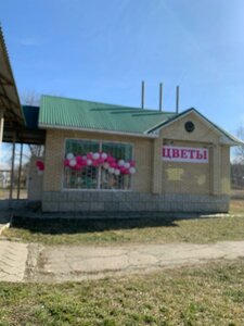 Ulitsa Apanasenko, 1Д ، : صورة