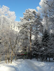 Tereshkovoy Street, 12, Novosibirsk: photo