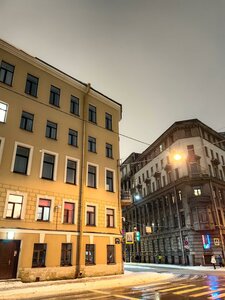 Fontanka River Embankment, 133, Saint Petersburg: photo