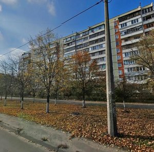 Mykoly Zakrevskoho Street, 77, : foto