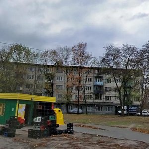 Anatoliia Solovianenka Street, 7, Kyiv: photo