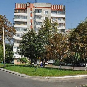 Varshavska vulytsia, 64, Lviv: photo