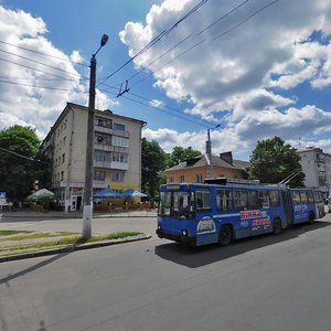 Kyivs'ka Street, 122, Zhytomyr: photo