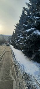 Ulitsa Mayakovskogo, 2, Omsk: photo