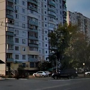 Heroiv Stalinhrada Avenue, 49, Kyiv: photo