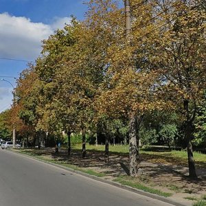 Derevyanka Street, 7А, : foto