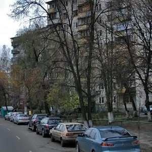 Bohdana Havrylyshyna Street, 3, Kyiv: photo