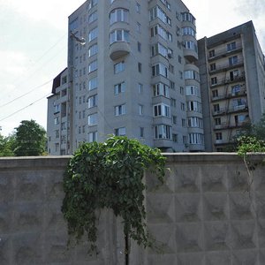 Zamostianska vulytsia, 20А, Vinnytsia: photo