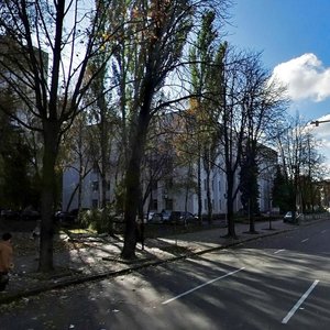 Mykhaila Omelianovycha-Pavlenka Street, 15, Kyiv: photo