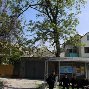 Анапа, Улица Ивана Голубца, 73А: фото