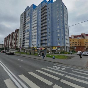 Kamyshovaya Street, 48к1, Saint Petersburg: photo