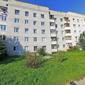 Shchorsa Street, 58, Grodno: photo