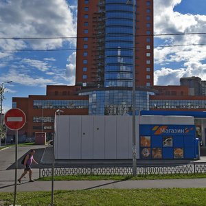 Talsinskaya ulitsa, вл1, : foto