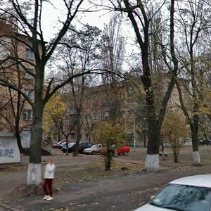Donetska Street, 5, Kyiv: photo