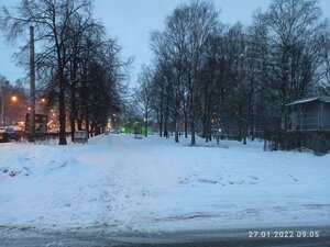 Sredniy Vasilyevskogo Ostrova Avenue, 91, Saint Petersburg: photo