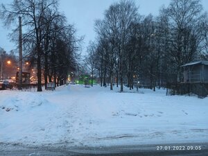 Санкт‑Петербург, Средний проспект Васильевского острова, 91: фото