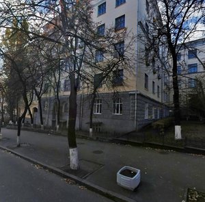 Volodymyrska Street, 68, : foto