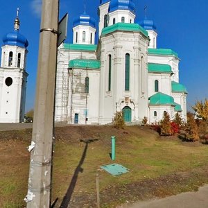 Mytropolyta Volodymyra Sabodana Street, 2В, Kyiv: photo