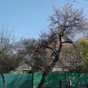 Stachki Avenue, 48, Rostov‑na‑Donu: photo